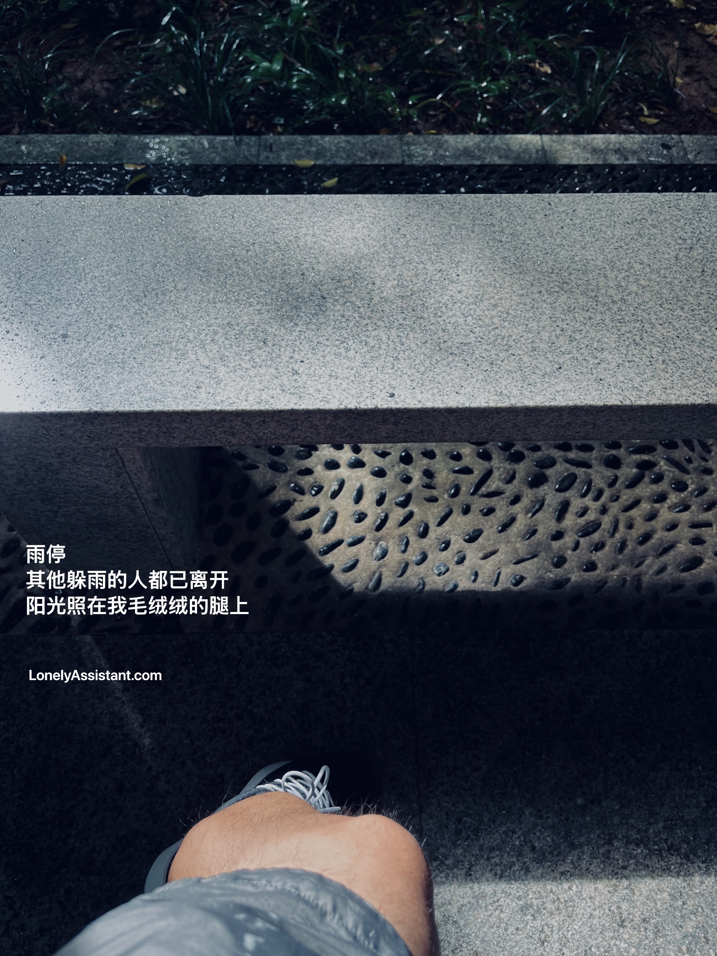 /media/images-phone/2025/9/15/2025-09-15 12.57.27.jpeg